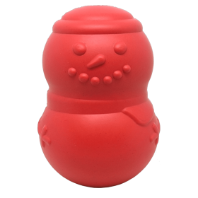 D01027R8SAP